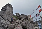 CIME ALBEN fiorite ad anello dal Passo Crocetta-22giu21-  FOTOGALLERY